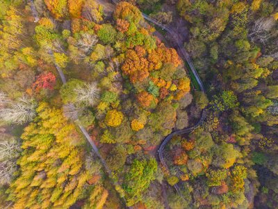 智能医疗：科技如何推动健康行业变革？