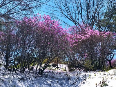 游戏平台提现成功持久未到账怎么办的有效解决指南