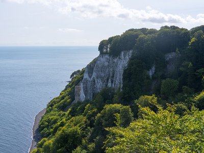 如何有效应对网上平台客服回复视讯数据未同步未传回拒绝提现问题
