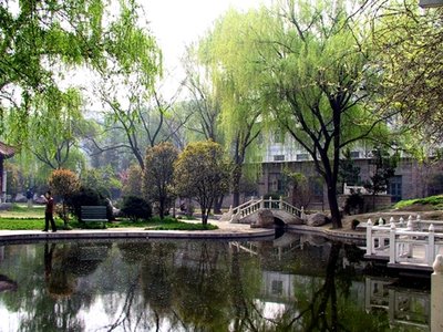 人工合成病毒载体