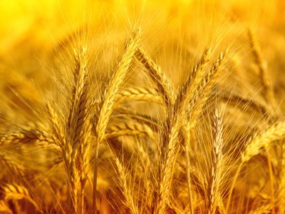 亲自教育的优势与挑战：如何应对不同年龄段的需求？