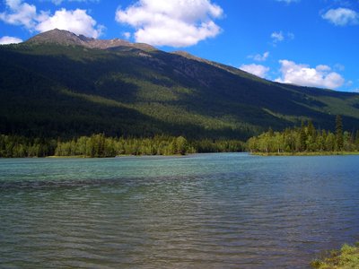 如何正确储存食品，避免浪费和变质