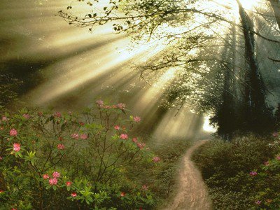 网络平台提现操作已被停用不给提现怎么办解决网上提现问题的实用方法大揭秘