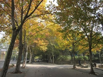 网络平台取款被退回如何加强自己的申请