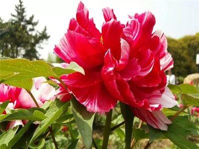 解决提现被拒问题的方法汇总