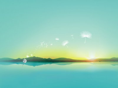 游戏平台游戏异常情况下如何处理个人资金问题